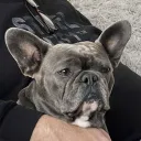 jdog5047