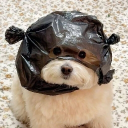 zukemax#8859's avatar