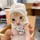 avatar J e l l y m i c i