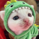 avatar J e l l y f i s h