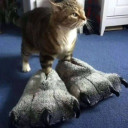 avatar J e l l y m i c i