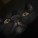 avatar 𝐄𝐰𝐤𝐚