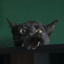 avatar 𝐄𝐰𝐤𝐚