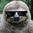 cheatinsloth