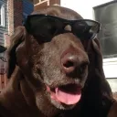 spec_0p