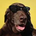 spec_0p