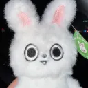 mercutiglo