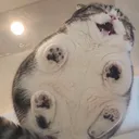 garlicdemon