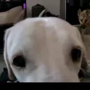 kesmo_