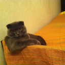 xxshimizuxx595's Avatar