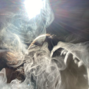 avatar Western Konfrence