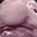 blobby8344