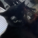 BLackCaT