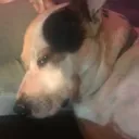 coco.6916