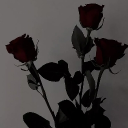 avatar Jolienchen†