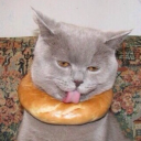 Discord Avatar