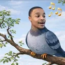 aleksiv