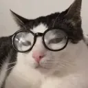 lightdi