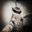 avatar-396345465827753984