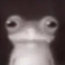 frydfrog