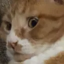 alextimus9