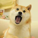 sparky__.