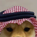 zeegod23
