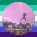 avatar critterbug 𓆧