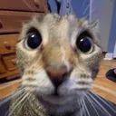 rileyecom