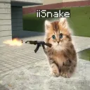 iisnake