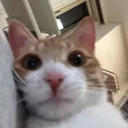 soboro