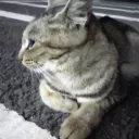 _kazukichi