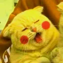 copi_dayo