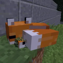 HackySphee