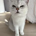 ihsnave