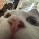 tysonnm_