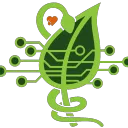 swampcoin