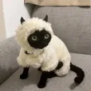 dothero