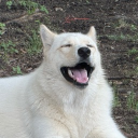 avatar JustSomeRetard