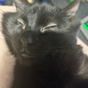 almightyshoogs