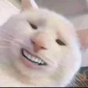 pittaandchicken