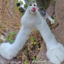 incredibly_goonius avatar