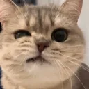 ploypm_