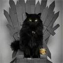 acanadiancat
