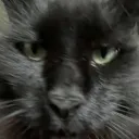 alexthebruh