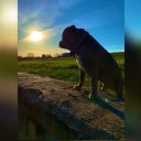 avatar BungeeException