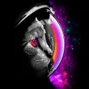 spacer2