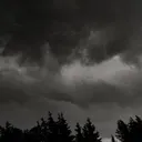 asdzxvasdzx