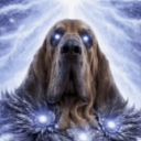avatar SAYRIK