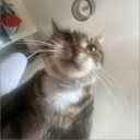oli